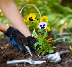 Gardening Services London