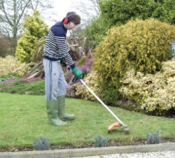 Garden Lawn Mowing London